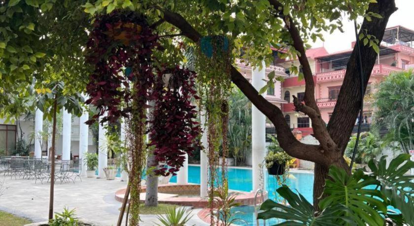 Club Denovo Otel Butwal Dış mekan fotoğraf