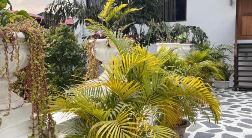 Club Denovo Otel Butwal Dış mekan fotoğraf