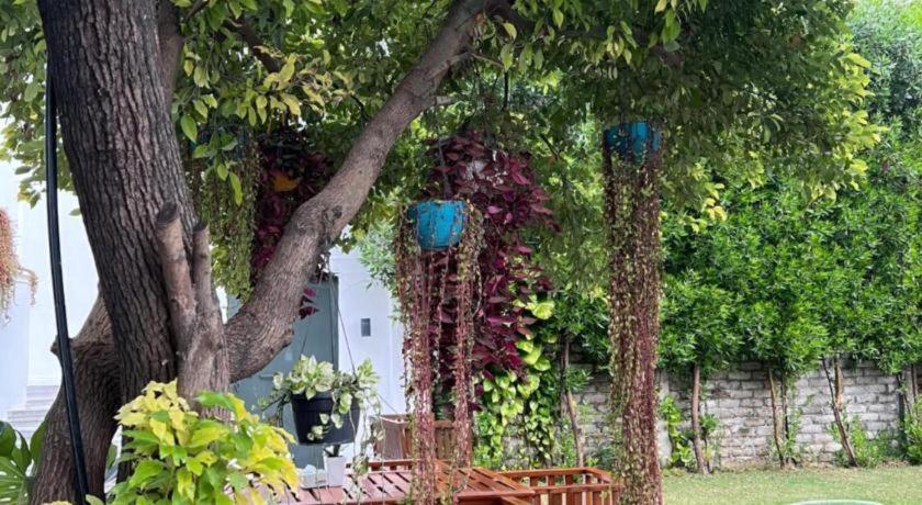 Club Denovo Otel Butwal Dış mekan fotoğraf