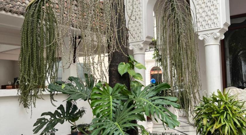 Club Denovo Otel Butwal Dış mekan fotoğraf